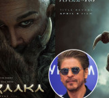 Allu Arjun Raaka Movie to feature Shah Rukh Khan