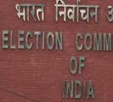 Mahant Haridas Bapu EC Sets Up Special Polling Booth in Gujarat Forest for Single Voter