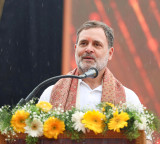 LoP Gandhi to campaign in Tamil Nadu today, intensifies push ahead of April 23 polls