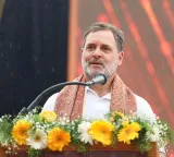 LoP Gandhi to campaign in Tamil Nadu today, intensifies push ahead of April 23 polls