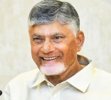 CM Chandrababu Naidu to campaign for NDA in Tamil Nadu from Monday