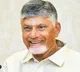CM Chandrababu Naidu to campaign for NDA in Tamil Nadu from Monday