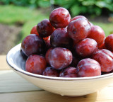 Plum Fruit Benefits Many Health Advantages