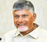 CM Chandrababu Naidu to campaign for NDA in Tamil Nadu from Monday