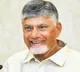 CM Chandrababu Naidu to campaign for NDA in Tamil Nadu from Monday