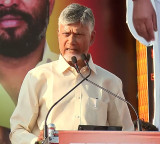Chandrababu Naidu targets DMK, Cong over women's quota; seeks apology during TN campaign