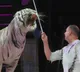 Russia orders criminal investigation after circus tiger jumps into crowd