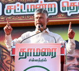 Chandrababu gets huge response in Tamil Nadu election campaign