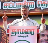Chandrababu gets huge response in Tamil Nadu election campaign