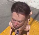 Elon Musk Robot Dog Stuns San Francisco Crowds