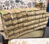 ₹1,200 cr seized so far in Tamil Nadu as poll authorities intensify crackdown ahead of voting