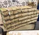₹1,200 cr seized so far in Tamil Nadu as poll authorities intensify crackdown ahead of voting
