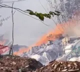 Kerala CM orders emergency response as 12 dead in Thrissur fireworks blast