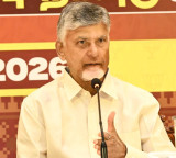 Chandrababu press meet in Chennai