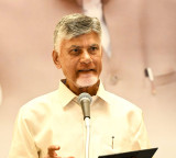 Chandrababu Naidu Comments on Vijays Party in Tamil Nadu