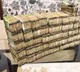 1200 cr seized so far in Tamil Nadu as poll authorities intensify crackdown ahead of voting