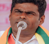 AP Rajya Sabha Race Annamalais Name Under Consideration