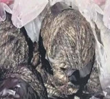 country made bombs found at ycp leader house