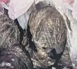 country made bombs found at ycp leader house
