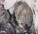 country made bombs found at ycp leader house