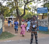 TN assembly polls 2026: Voting underway across 234 constituencies