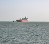 All 22 Indian seafarers on 2 foreign ships targeted by Iranian forces safe: Shipping Ministry