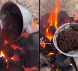 TikTok video Outrage over viral video of ants being cruelly killed