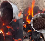 TikTok video Outrage over viral video of ants being cruelly killed