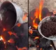 TikTok video Outrage over viral video of ants being cruelly killed