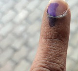 Tamil Nadu West Bengal Elections Polling Begins