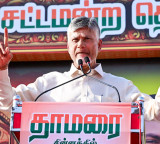 Andhra Pradesh planning first dedicated Cocoa City​