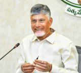 Andhra Pradesh CM seeks report on petrol, diesel shortage