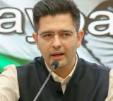 Raghav Chadha Loses 1 Million Instagram Followers After Party Switch