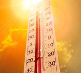 Telangana Heatwave Claims Four Lives Due to Heatstroke