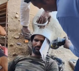 Rajasthan youths reel stunt backfires head stuck in milk container