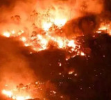 Seshachalam Forest Fire Under Control Near Tirupati