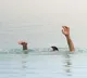 Anand Mohan Hyderabad Student Drowns in Alaknanda River Uttarakhand