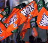 BJP vanishes Congress and AAP in Gujarat local polls
