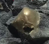 Scientists Reveal True Identity Of Mysterious Golden Orb Found At Bottom Of The Ocean