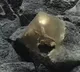 Scientists Reveal True Identity Of Mysterious Golden Orb Found At Bottom Of The Ocean