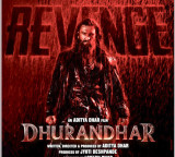 Not CGI that blasts in Dhurandhar 2 performed with Petrol