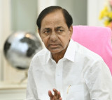 BRS NRI committees dissolved