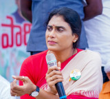 YS Sharmila slams AP Govt over fuel crisis