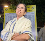 Mamata Banerjee has 'panicked' before poll results: BJP MPs on Bengal CM's strong room visit