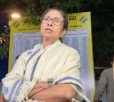 Mamata Banerjee has 'panicked' before poll results: BJP MPs on Bengal CM's strong room visit