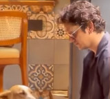 Vijay Varma shares a hilarious take on how the disaster alert caught him off guard