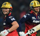 'She gives freedom to players': Karthik draws comparison between Mandhana and Dhoni