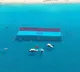 Indian Tricolor Flag Hoisted Underwater at Andamans Radhanagar Beach