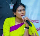 YS Sharmila Slams Modi Over Gas Cylinder Price Hike