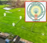 AP Govt Plans To Restart Naksha Land Digital Survey For Property Cards